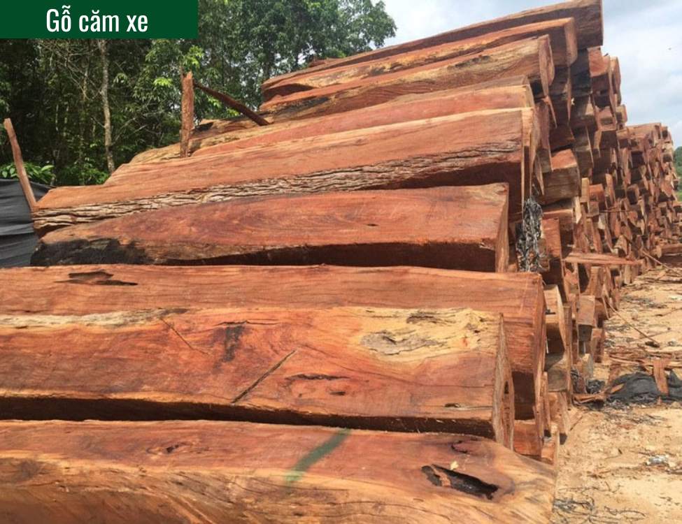 Gỗ căm xe