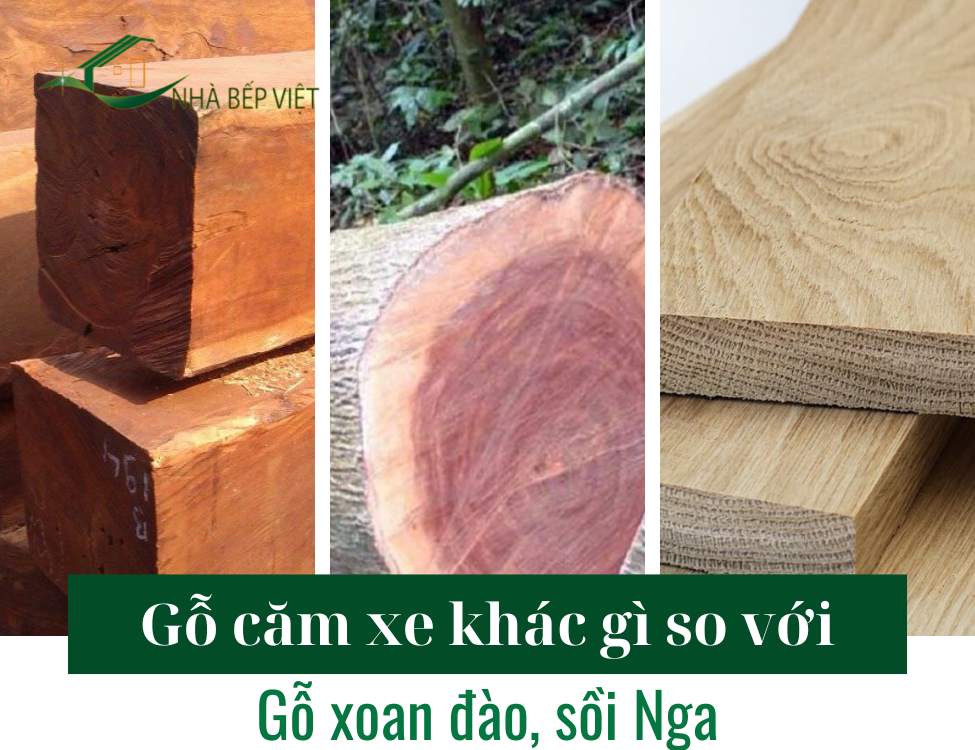 Gỗ căm xe khác gì so với gỗ xoan đào, sồi Nga?