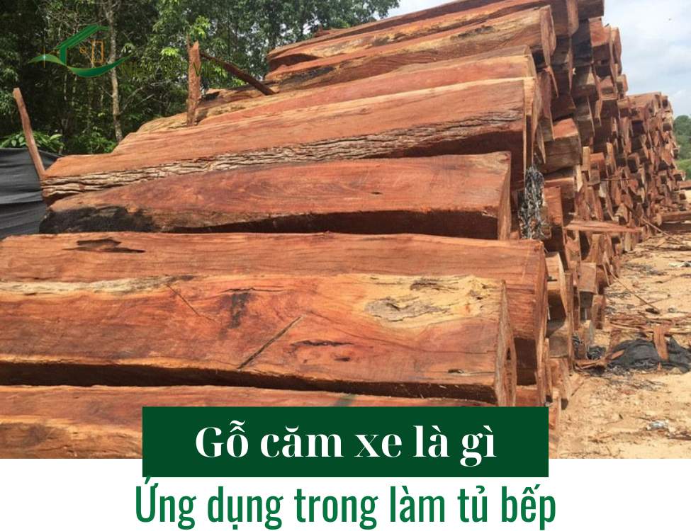 Gỗ căm xe là gì