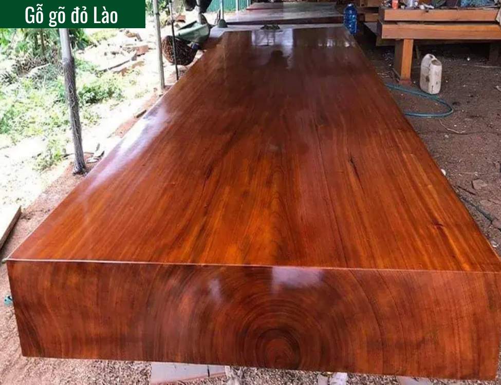 Gỗ gõ đỏ Lào có gì đặc biệt