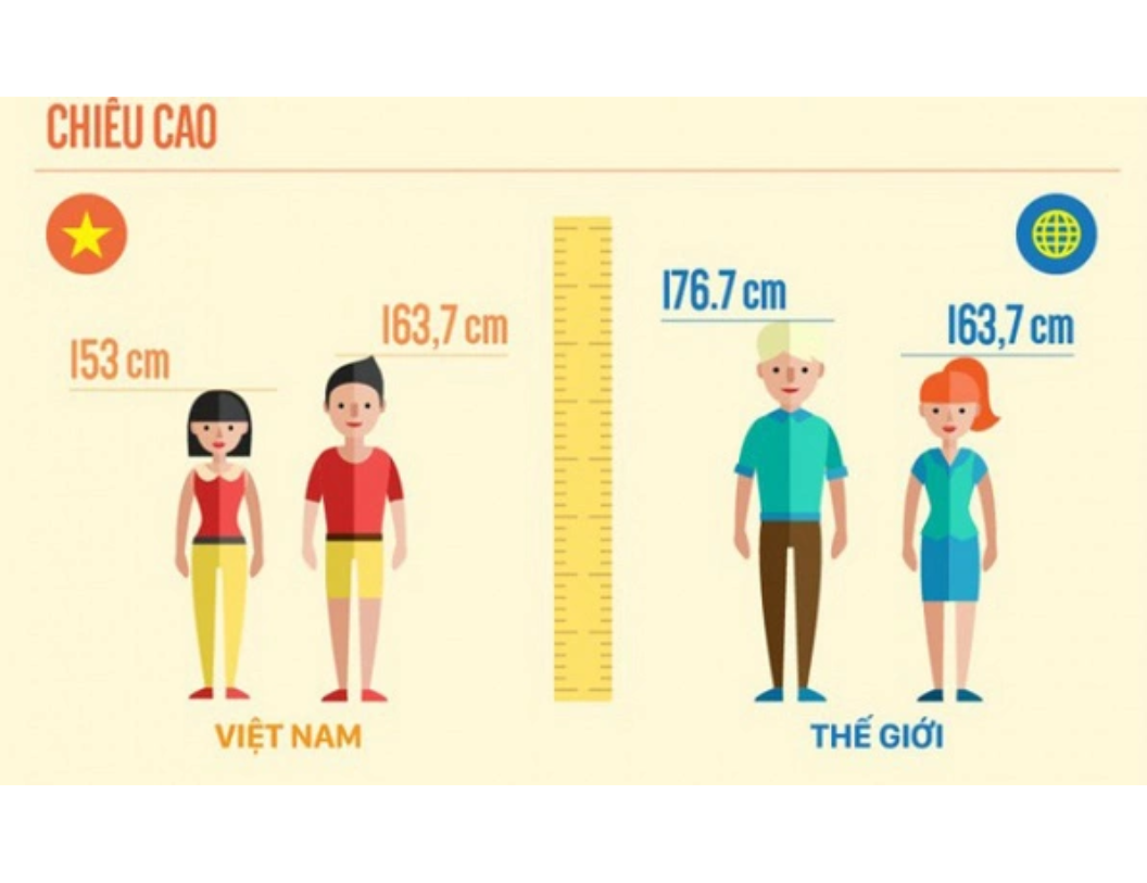 Đặc điểm chiều cao trung bình người Việt và tác động đến chiều cao tủ bếp trên