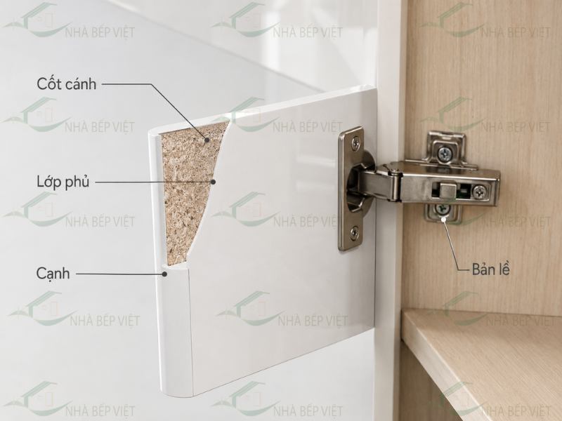 Cốt cánh và bề mặt phủ cần được hiểu là hai lớp khác nhau